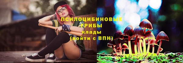 apvp Абинск