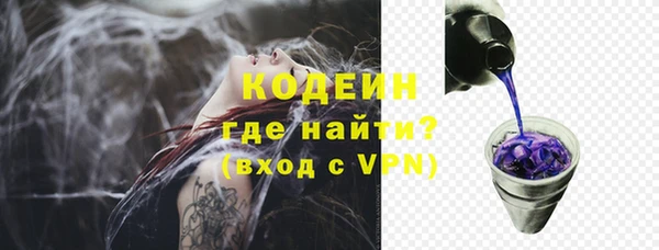 индика Козловка