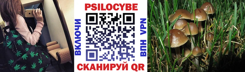 Псилоцибиновые грибы MAGIC MUSHROOMS  mega как войти  Южа 