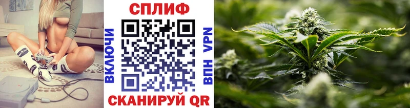 Шишки марихуана план  дарнет шоп  Южа 